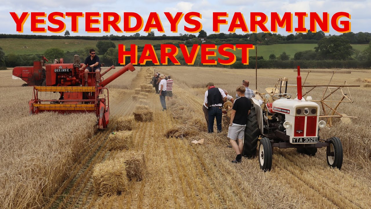 "Yesterdays Farming" Harvesting