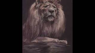 alborosie - give me love