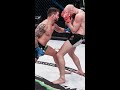 Patricky Pitbull vs Peter Queally Highlights