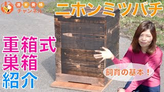 ニホンミツバチ飼育の基本！【重箱式巣箱の紹介】