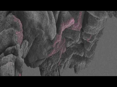 DJ Clart - Team Playa