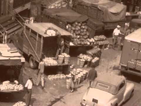 Savannah Remembers opening