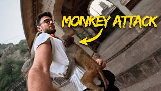 I Got Mugged by the Indian Monkey Mafia