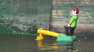 preview picture of video 'Chọi Trâu (múa rối nước)'