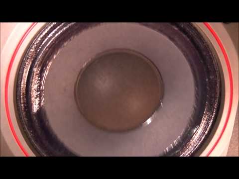 Bass Kings VS. X - Vertigo ft. Golden Sun - KINGS (Trail Blazer RMX)