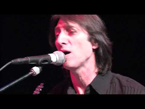 THE FORTUNES   Without You