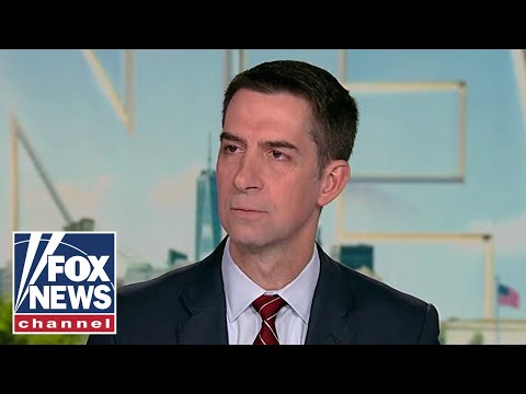 Cotton SLAMS Dem 'temper tantrum' for fueling TSA chaos