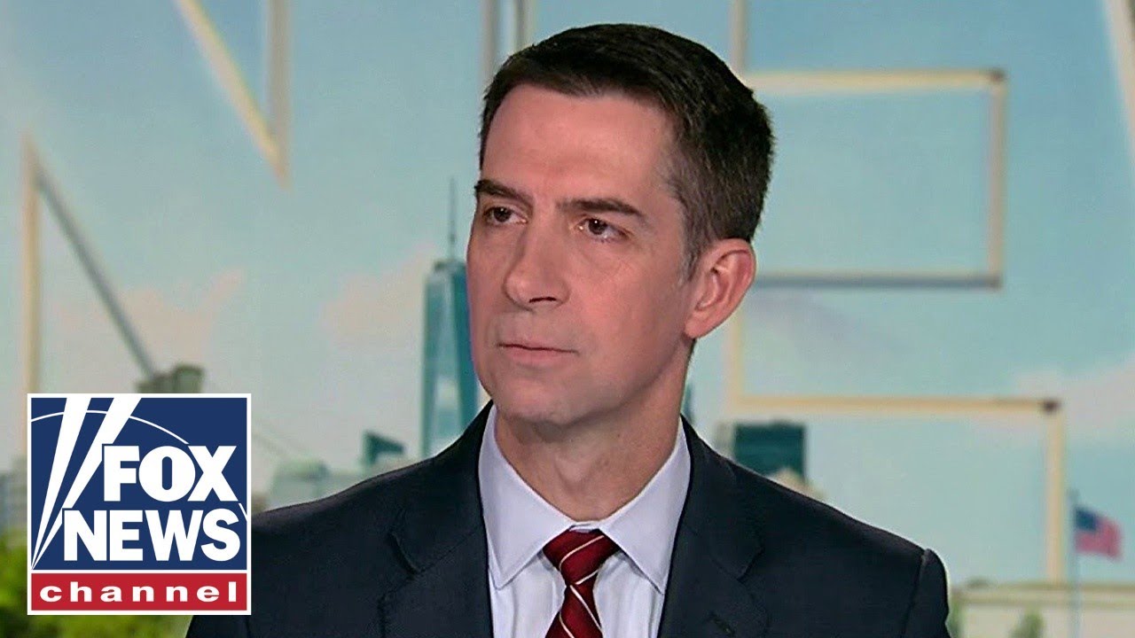 Cotton SLAMS Dem 'temper tantrum' for fueling TSA chaos