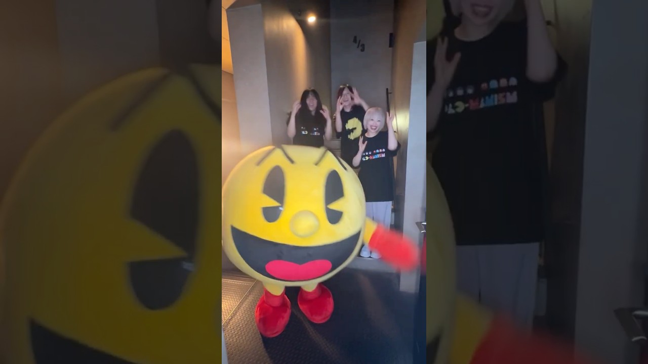 「ヤバイTシャツ屋さん "赤ちゃん" リリースツアー 2026」ファイナル東京公演に、パックマン先輩が出演してくださいました！ありがとうございました！#パックマンとヤバT #pacman