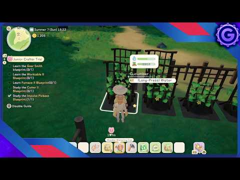 Cucumber Growing Masterclass: The Secret to Perfect Cucumbers in Starsand Island