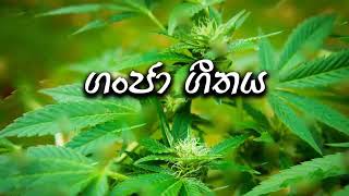 Download lagu Ganja song Sinhala,sl music mp3