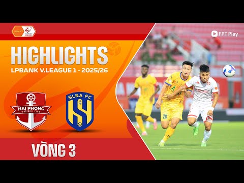 bg-highlight