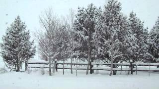 A Winter Snowscape-Jethro Tull