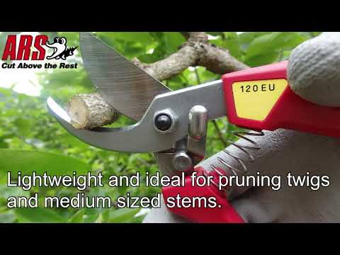 ARS 120EU Pruning Shears