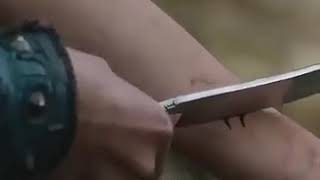 Download lagu Sinema pg mp3 Download lagu Sinema pg mp3