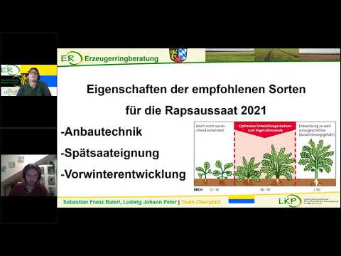 Rat zur Saat Raps Teil 1