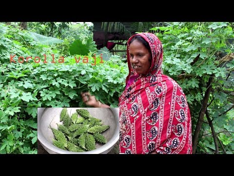 Village Food | Fresh bitter gourd fry | Grandmother recipes-100