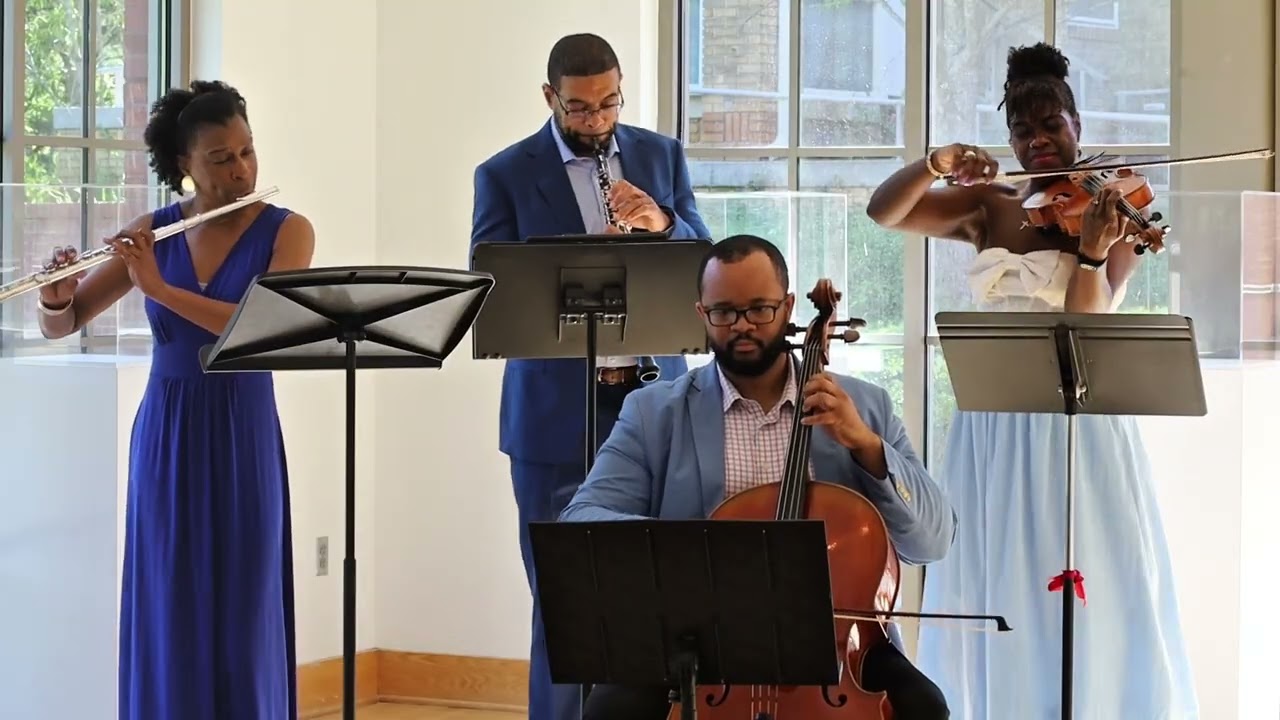 Promotional video thumbnail 5 for Rhapsody in Ebony