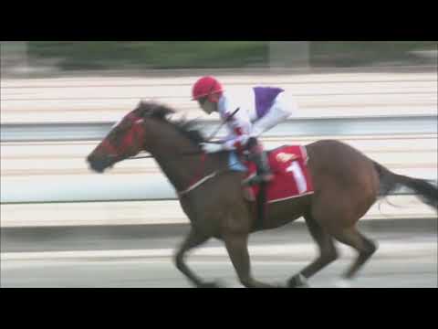 2022-08-07 Race 3(0317) - CHAIRMAN'S CHALLENGE CUP (GROUP 1)