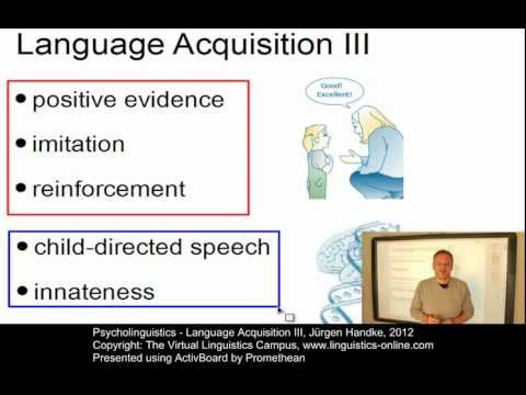 PSY123 - Language Acquisition III