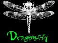 Shaman's Harvest- Dragonfly NOW WITH LYRICS ...