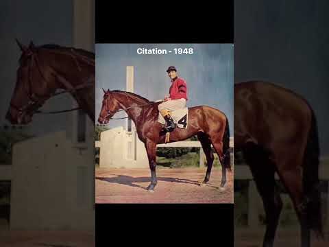 Triple Crown Winners | Which is your favorite? #secretariat #horseracing #triplecrown #thoroughbred