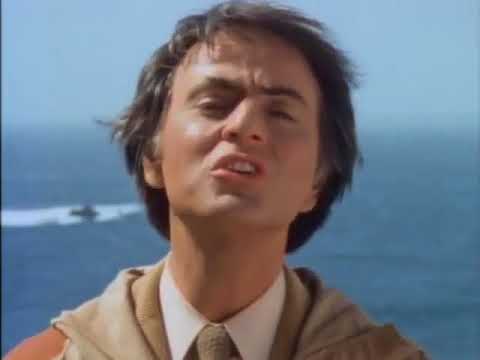 Carl Sagan  -  We are a way for the Cosmos to know itself