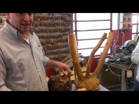 Ascorti Pipe - The Origin of the Pipe - The Briar (Part 1)