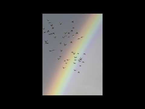 (FREE) Jean Tassy X Sagaz X Zarastruta Type Beat - "Cinza"