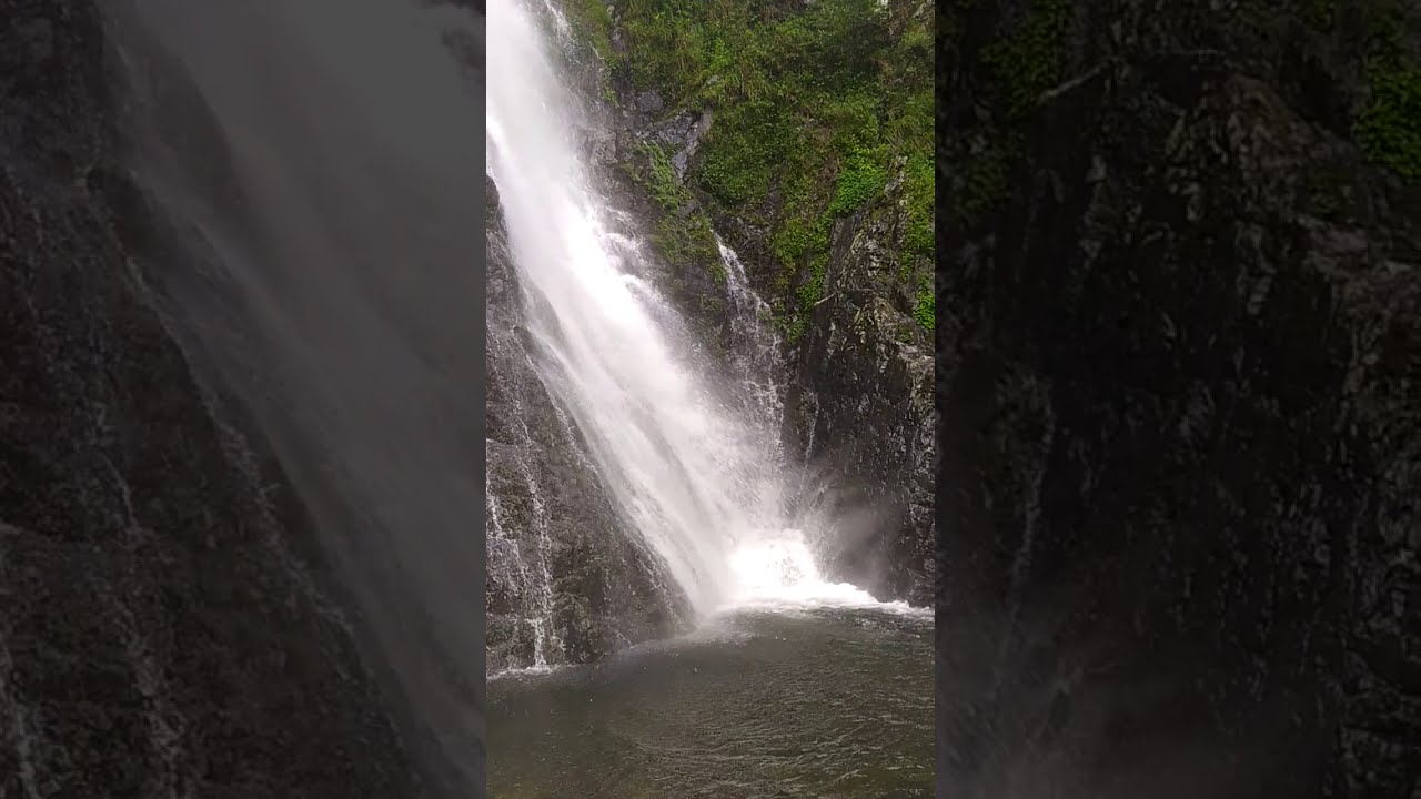 YouTube Short thumbnail