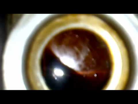 Heavy duty valvoline engine oil