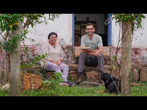 Complete Flavors MINAS 26 12