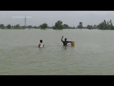 Flood-affected Pakistani families call for help