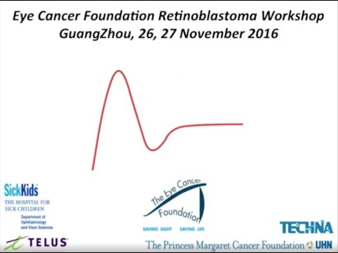Retinoblastoma: Intra-arterial Chemotherapy: Evidence and Hype - Dr. Brenda Gallie