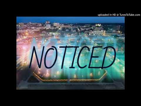 Grizzly of GNS - Noticed