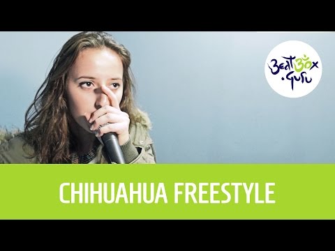 Chihuahua drops hot #PolishBeatbox freestyle @ beatbox.guru