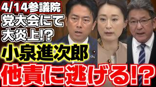 【小泉進次郎】【杉尾秀哉】【田島麻衣子】【榛葉賀津也】【赤沢亮正】自民党大会にて違法指摘の大炎上!!自衛隊責任者として小泉大臣が答弁に立つ!!【自民党】【立憲民主党】【国民民主党】【参議院】