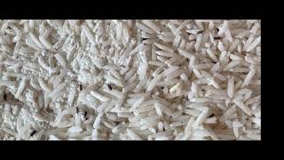 Get rid of Rice Weevils using Home Remedies