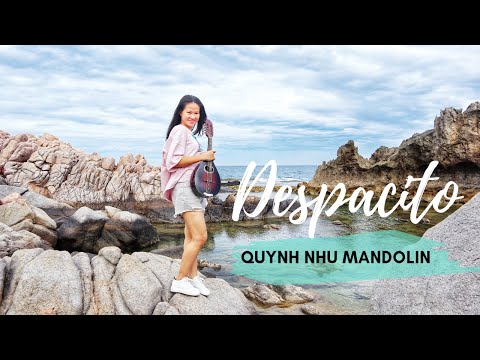 Despacito (Luis Fonsi ft. Daddy Yankee) - Mandolin Cover