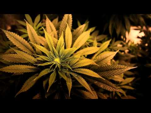 Luca Terzini - Great Joint (Original Mix) [Free Download]