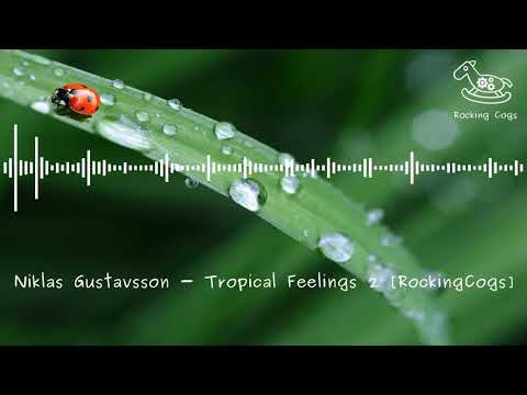 Niklas Gustavsson - Tropical Feelings 2 [RockingCogs]