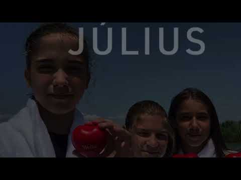 Társadalmi szerepvállalás