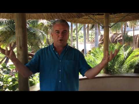 Maui Tropical Plantation's Francesco Greco: Sunny Future for Sunflowers