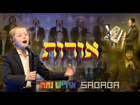 Oiros - Yanky Green, Yiddish Nachas, Moshe Kraus, Sababa Band | אורות - יענקי גרין, אידיש נחת, סבבה