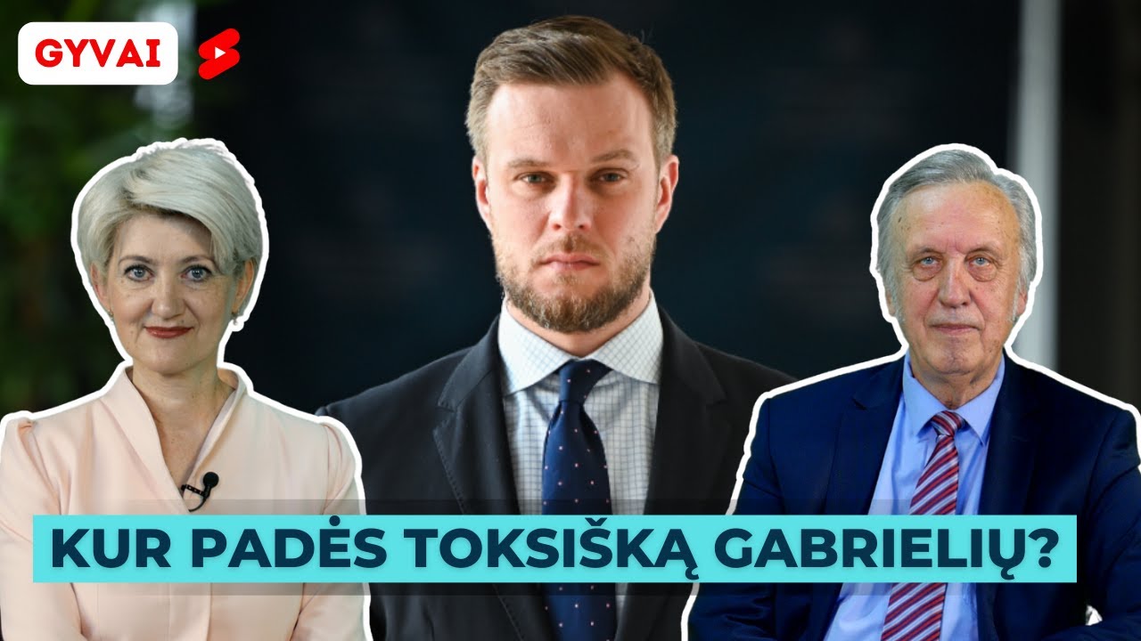 Labai rekomenduoju! Prof.P.Gylys: protingas ir sąžiningas politikas tarp daugybės karo kranklių, idiotų ir konformistų