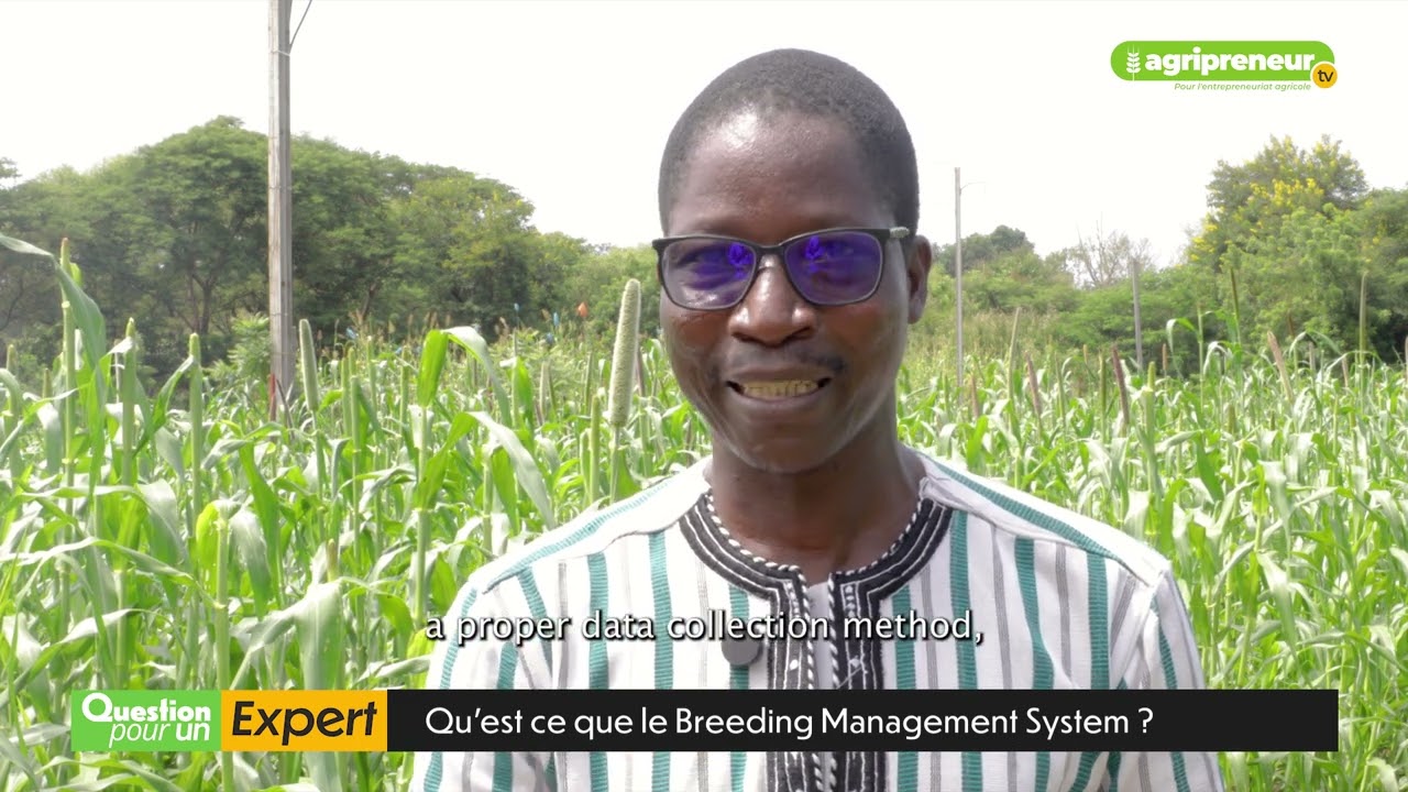 Question pour un expert | Qu’est-ce que le Breeding Management System (BMS) ?