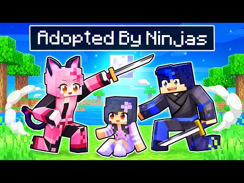 Adopted By NINJAS In Minecraft!
