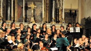 preview picture of video 'Armonie in Voce -  Concerto dell'Assunta 16 agosto 2013'