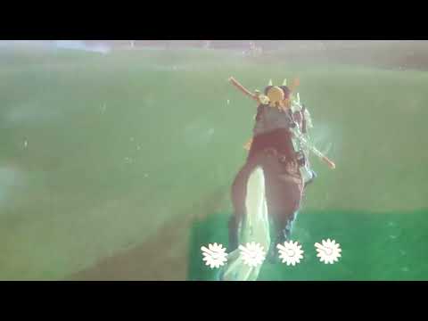 Zelda BotW:So könnt ihr ein Lanzenstoß auf euren Pferd machen.