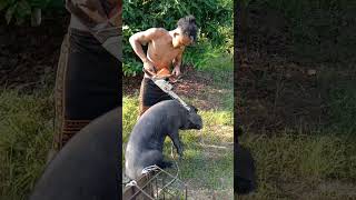 Download lagu Potong babi#shorts#funny#youtubeshorts mp3 Download lagu Potong babi#shorts#funny#youtubeshorts mp3